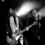 artist image Matt O'Ree Band Let It Snow A Christmas To Cure Cancer 5