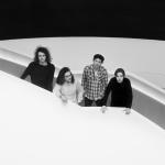 artist image Catfish and the Bottlemen Fallout The Balcony