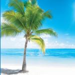 artist image Robbins Island Music Group Its Raining Outside but Your With Me Northsounds: Pure Nature Sounds for Deep Sleep, Relaxation, & Wellness