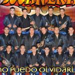artist image Banda Bucanera La Rana En Vivo