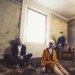 artist image Vaults Poison Vultures – EP