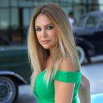artist image Nigar Jamal Talebe Herhalde - Single