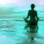 artist image Pasquale Canzi, Alvio Boscarello, Giovanni Poggio Pinguini Languidi Oasis of Mindfulness - Meditation Music for Yoga and Quietness, 40 Deep Relaxation Songs for Your Spirituality