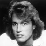 artist image Andy Gibb An Everlasting Love Shadow Dancing