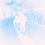 artist image crystal castles TRANSGENDER instrumental 