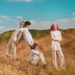 artist image The Regrettes Seashore Feel Your Feelings Fool!