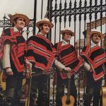artist image Los Huasos Quincheros Por Qué Te Vas Boleros Campeones, Vol. 1