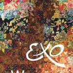 artist image EXO Choisissez Eclats D'afrique