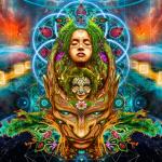 artist image Zymosis feat. Katya Chilly U Zemli (feat. Katya Chilly) Insight