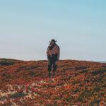 artist image Saint Mesa Lion Lion - Single