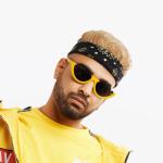 artist image Tribal Kush, Puri feat. Karl Wine Nu Nu Nu Nu Nu Nu (feat. Karl Wine) - Single