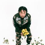 artist image A$AP ANT Rack$ On Me Best of a$Ap Ant 2017 - EP