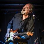 artist image Tinsley Ellis Feelin' No Pain 1 Hell Or High Water