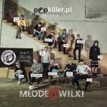 artist image Popkiller Młode Wilki, White 2115 Blabla Popkiller Młode Wilki 6