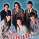artist image Los Caminantes Que Me Vas A Dejar Tesoros de Coleccion: Lo Romantico De...