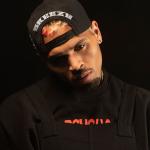 artist image Chris Brown Wall To Wall Wall to Wall - EP
