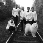 artist image The Hives Tick Tick Boom The Black and White album