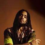 artist image Skip Marley feat. Damian "Jr. Gong" Marley That's Not True Higher Place