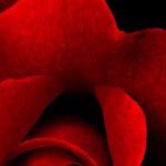 artist image Techno Project, DJ Geny Tur Most Most - Single