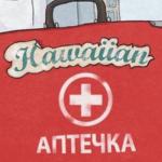 artist image hawaiian sadness тамбур тамбур / брошу курить - Single