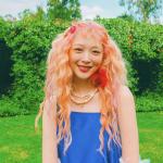 artist image Sulli On The Moon (온더문) Goblin - Single
