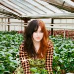 artist image GAYLE dumbass dumbass - Single
