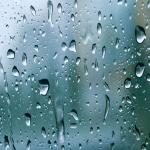 artist image Rain Sounds, Rain Atmospheres, Sounds of Nature Noise Rain in Paris Rain in the City