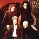 artist image Dead Or Alive That's the Way (I Like It) Sophisticated Boom Boom (Expanded Edition)