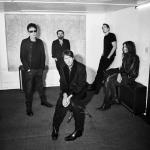 artist image Suede Animal Nitrate Suede (Remastered)