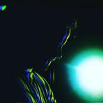 artist image Yeadon Sundance Sundance - Single