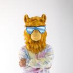 artist image LLAMA LEGO VIDIYO Shake - Single