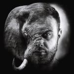 artist image Indie Elephant Other Side Other Side / Fanatic - Single
