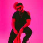 artist image Hayk Di Di - Single