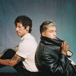 artist image twenty one pilots Never Take It Scaled And Icy