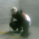 artist image steve breaux my world My World - Single