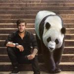 artist image Viva La Panda, Finding Molly Bring It On (La La La) Bring It on (La La La) - Single