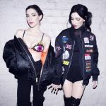 artist image The Veronicas Goodbye HUMAN