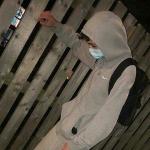 artist image Maribou State feat. Holly Walker Tongue - remix by (N_K_T_music) 