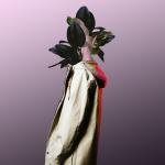 artist image PLÜM Somebody to Hate Somebody to Hate - Single
