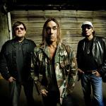 artist image The Stooges I Wanna Be Your Dog The Stooges