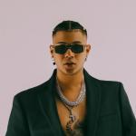 artist image Boza Feat. Lunay, Lenny Tavárez, Juhn & Beéle Ella (Remix) Bucle