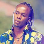 artist image Willy Paul Toto The African Experience
