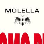 artist image Molella, Biagio D'Anelli feat. J.Peralta Loco Por Ti Loco Por Ti (feat. J.Peralta) [Molella & Nick Peloso Edit] - Single