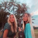 artist image Halfy & Winks Nothing But Free Nothing But Free - Single