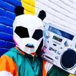 artist image Pink Panda & Sunset Strippers Falling Stars 2022 Falling Stars (2022) - Single