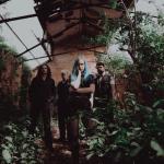 artist image ANIIMALIA Silver Linings Silver Linings - Single