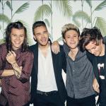 artist image One Direction They Don't Know About Us Take Me Home