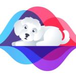 artist image Vortex Cosmic Rim II Soothing Dog Sounds: The Perfect Way to Keep Your Dog Calm, Vol. 2