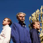 artist image PNAU, Troye Sivan You Know What I Need You Know What I Need - Single