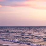 artist image TR Perseus Love is in the Air (Original Mix) Cafe Americaine - Music from the Sea - 50 Beautiful Del Mar Sounds